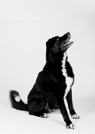 Lucy 9032002