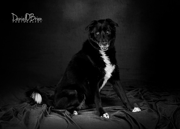 Lucy 9070014