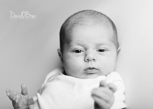 Aisling 9103002