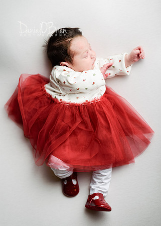 Lilly 0854041