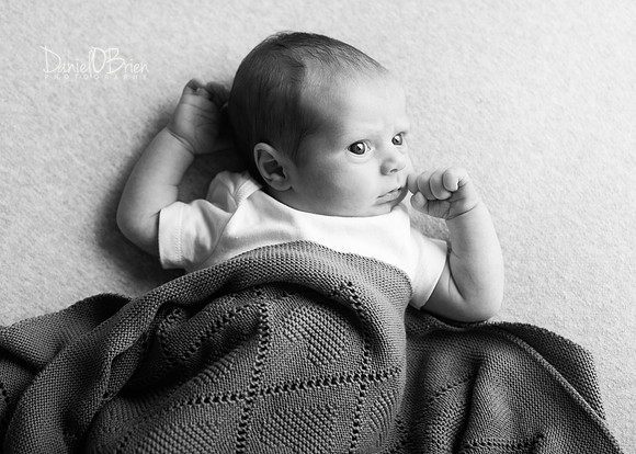 Ollie 7729008