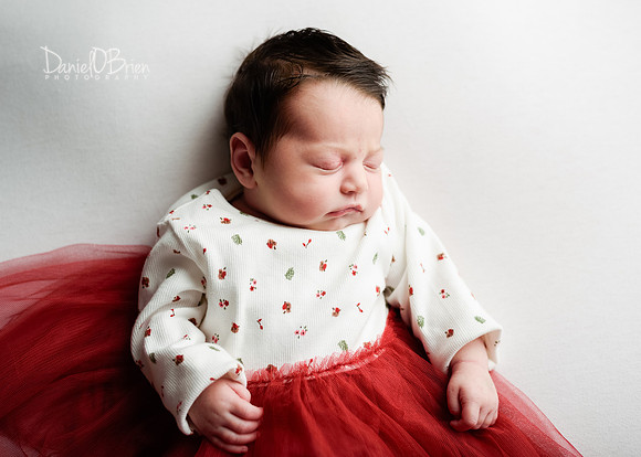 Lilly 0842033