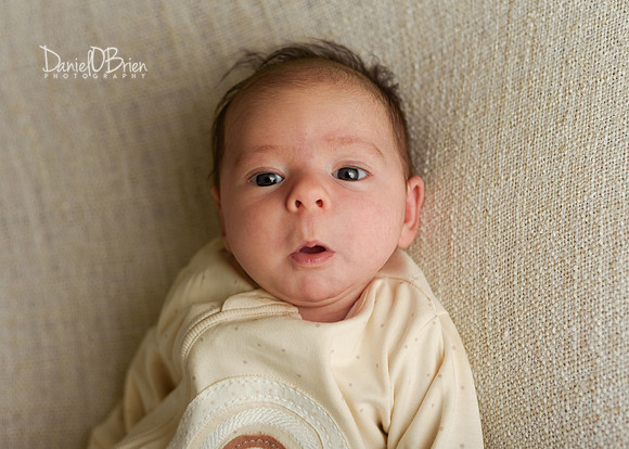 Fiadh 0606009