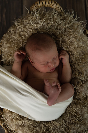 Hollie3124040