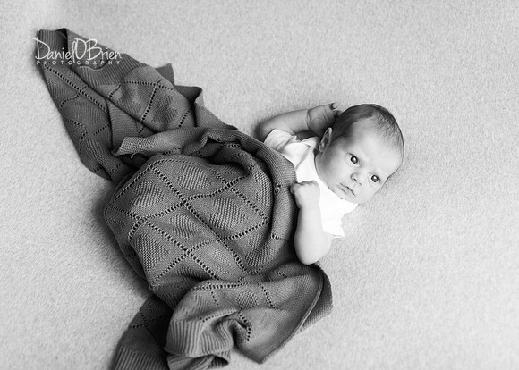 Ollie 7727006